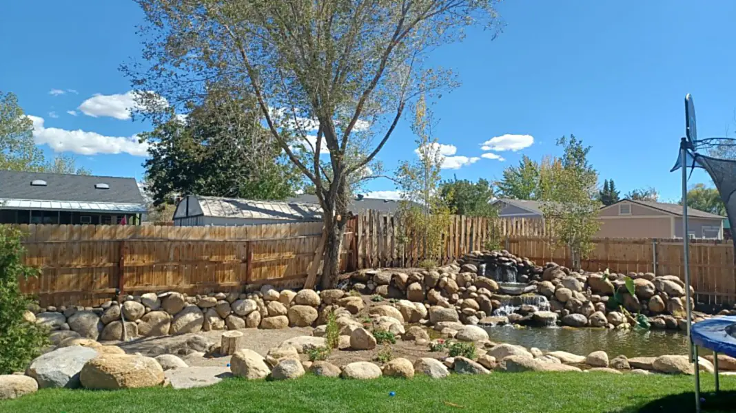 A Carson Valley yard with new trees and rock beds in autumn light