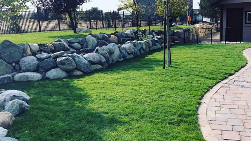 A healthy green lawn beside a boulder retaining wall in the Carson Valley