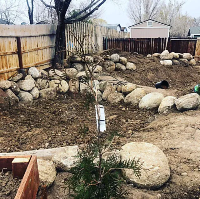 New planting bed with rock mulch and boulders in a Carson Valley backyard