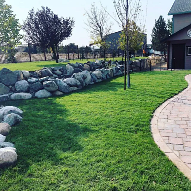 Healthy green lawn framed by a boulder retaining wall and paver walkway