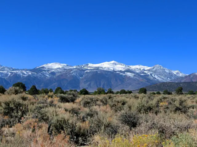 Snow-capped Sierra Nevada range above the sagebrush of the Carson Valley